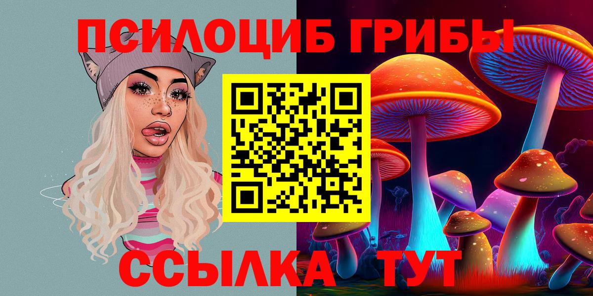 Кимовск  Галлюциногенные грибы Cubensis  Вход с VPN  дарнет шоп  Псилоцибиновые грибы Psilocybe 