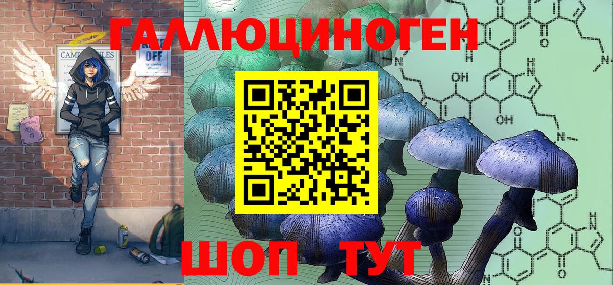 Псилоцибиновые грибы Psilocybe Кимовск